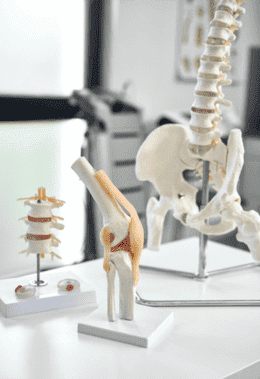 Cuánto cobra un Ortopedista y cirujano de columna vertebral en Naucalpan de Juárez Estado de México